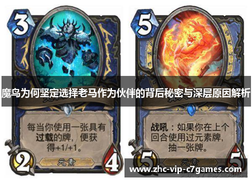 魔鸟为何坚定选择老马作为伙伴的背后秘密与深层原因解析