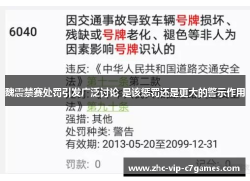 魏震禁赛处罚引发广泛讨论 是该惩罚还是更大的警示作用