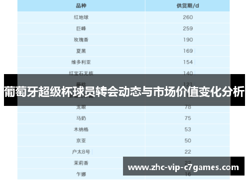 葡萄牙超级杯球员转会动态与市场价值变化分析
