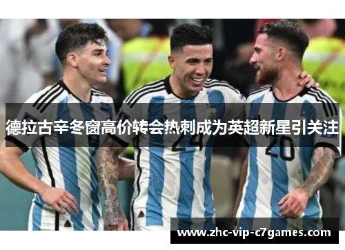 德拉古辛冬窗高价转会热刺成为英超新星引关注 德拉古辛冬窗高价转会热刺成为英超新星引关注