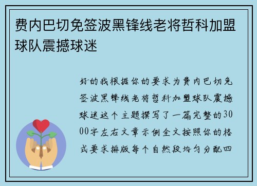 费内巴切免签波黑锋线老将哲科加盟球队震撼球迷 费内巴切免签波黑锋线老将哲科加盟球队震撼球迷